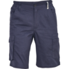 bleumarin