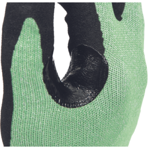 Alternative view of ORTALIS Palm manusi anti-taiere F