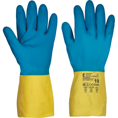 CASPIA FH 1