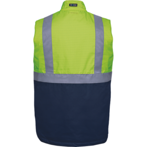 Alternative view of BRAVONE bodywarmer signal