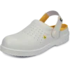 RAVEN WHT MF ESD SB SRC papuci 1
