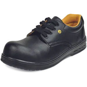 RAVEN ESD O1 SRC pantofi 2