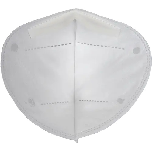 GPP2 SAAR FFP2 respirator - imagine 3