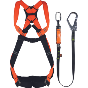 CERVA FS SET platforms and maintenance