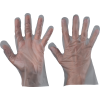 transparent