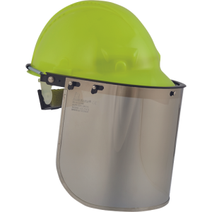Alternative view of VISIGUARD PC scut placat cu aur