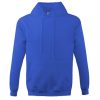 HANORAC ALBASTRU 280G